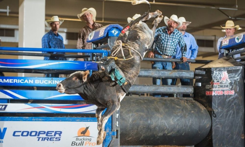American Bucking Bull Inc. - 2018 ABBI Finals Classes / Qualification: ***  Yearlings (EF's $2,525): Open to all current ABBI registered Yearlings >  BIG TEX Trailer to the Yearling Finals Event Champion >