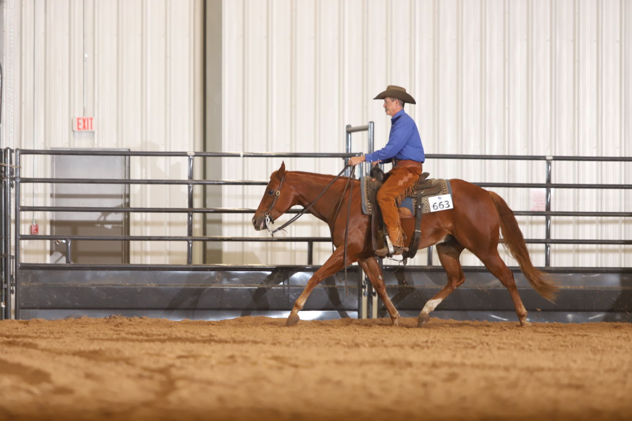Western Horseman Stock Horse World Show 2019 Cowboy Lifestyle Network