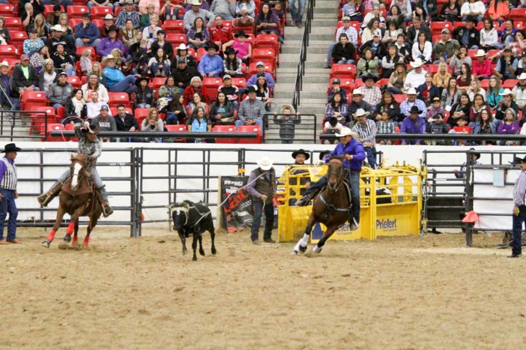 Indian National Finals Rodeo 2022 Cowboy Lifestyle Network