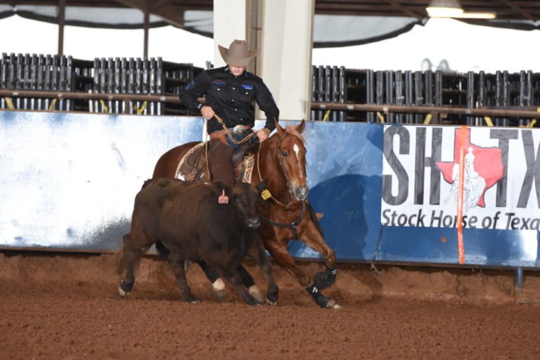Western Horseman Stock Horse World Show 2019 Cowboy Lifestyle Network