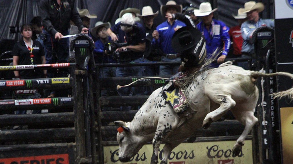 Montana Silversmiths PBR Professional Bull Riders Flames Western Belt Buckle  - Jackson's Western