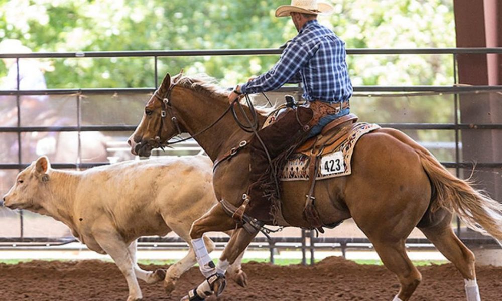Western Horseman Stock Horse World Show 2019 Cowboy Lifestyle Network