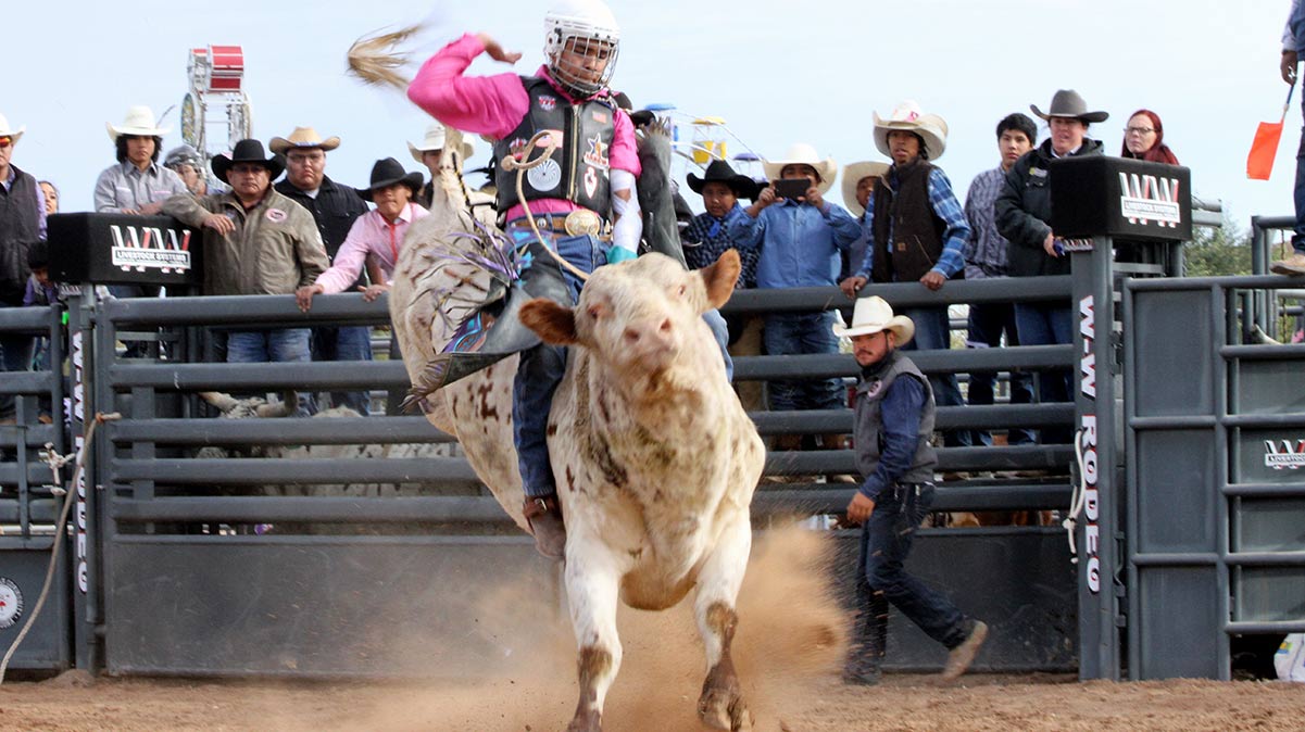 Average Rodeo Cowboy Earnings - Cowboy Lifestyle Network