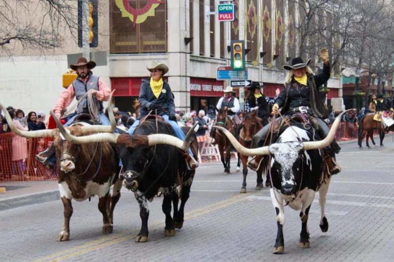 San Antonio Stock Show and Rodeo 2020 Cowboy Lifestyle Network