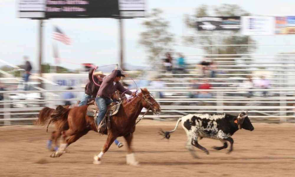 75th Annual Yuma Jaycees Silver Spur Rodeo 2020 - Cowboy Lifestyle Network