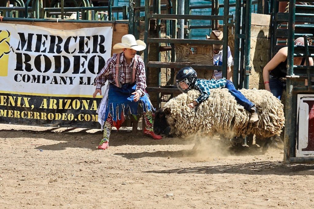 Cave Creek Rodeo Days Live  PRCA on Cowboy Channel + 