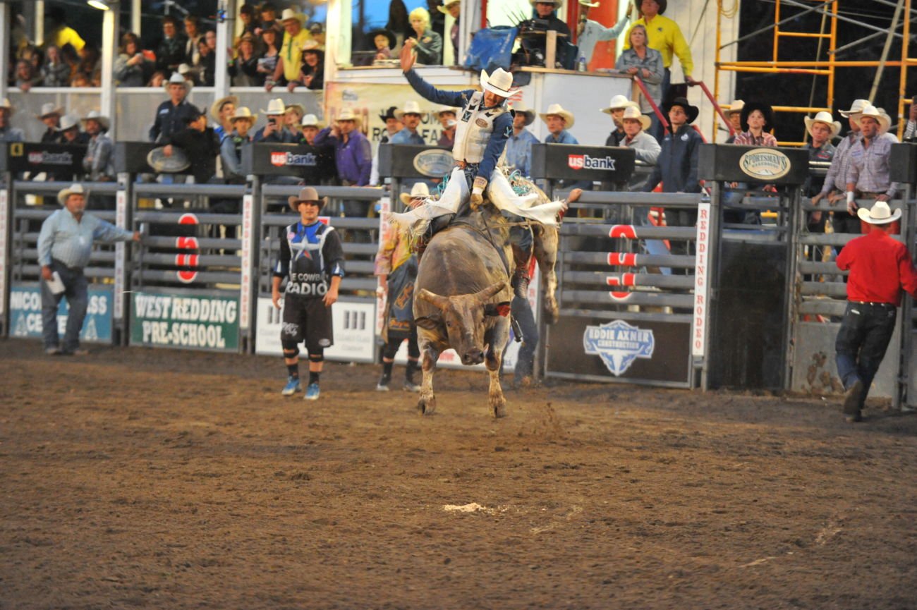 All About Rodeo