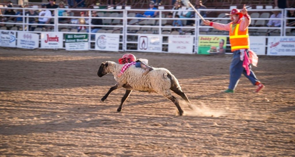 Helotes Cornyval and PRCA Rodeo 2021 Cowboy Lifestyle Network