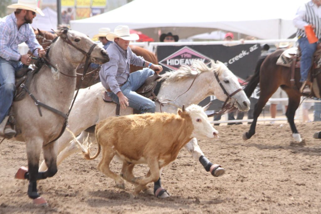 Clear Bag Policy - Cave Creek Rodeo Days