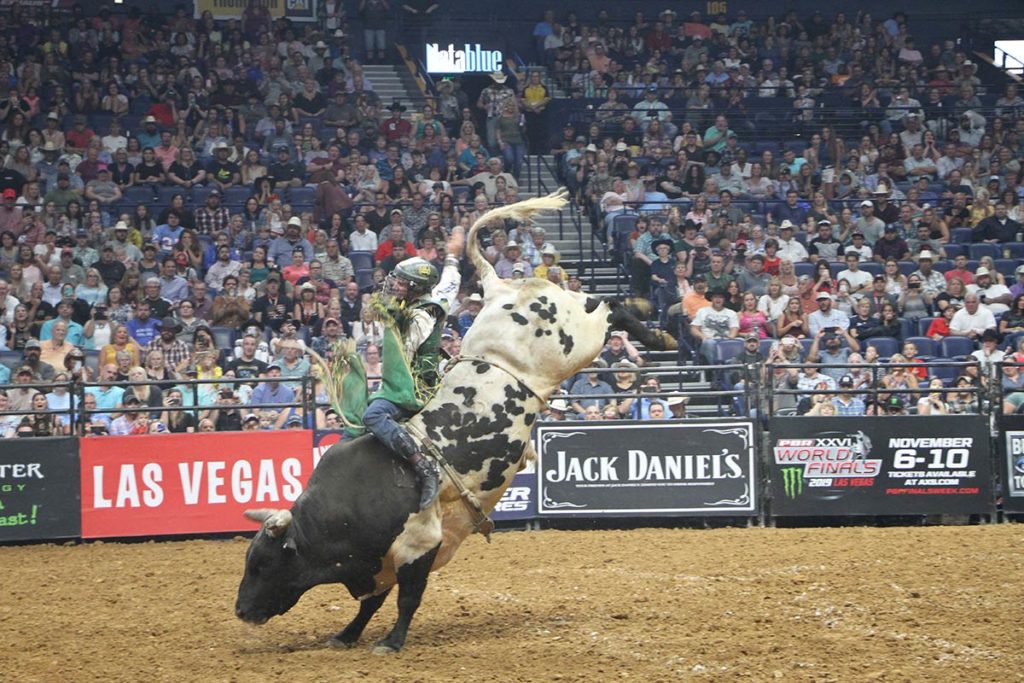 PBR Launches New Bull Riding Team Competition Culminating in Ticketed