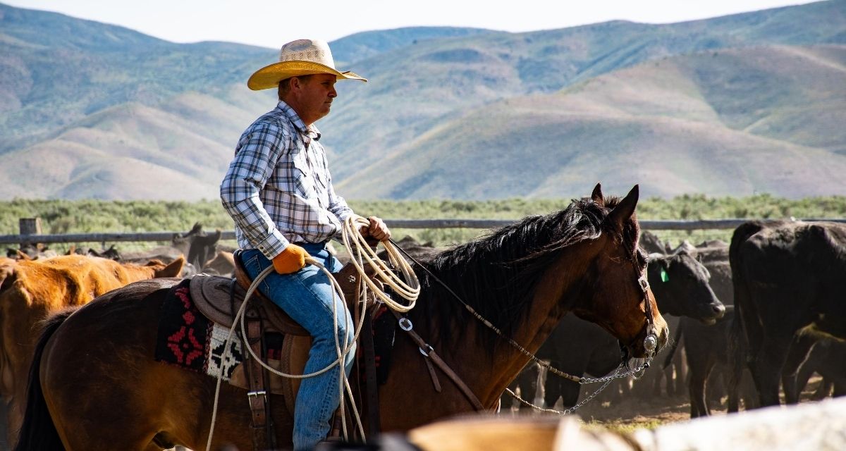 Cowboys: A Dying Breed - Cowboy Lifestyle Network