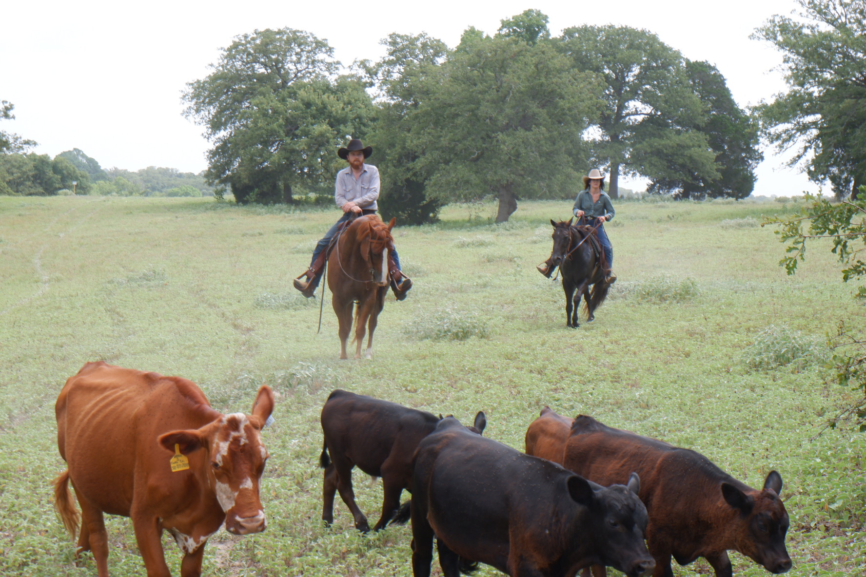 CLN Exclusive: Colter Wall - Cowboy Lifestyle Network