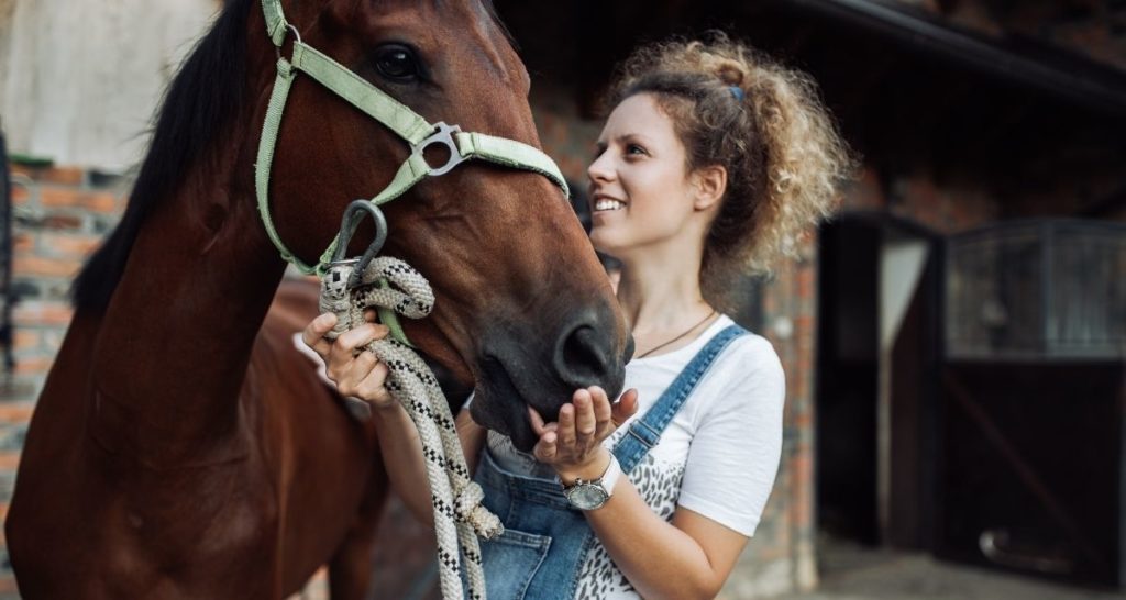 New Horse Starter Pack Cowboy Lifestyle Network