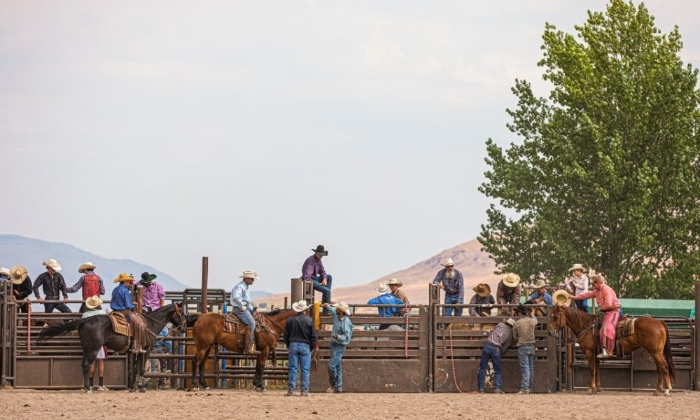 What Does the Rodeo Industry Look Like in 2021?