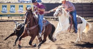 Team Roping: Rodeo 101 - Cowboy Lifestyle Network