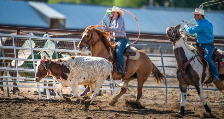 Team Roping: Rodeo 101 - Cowboy Lifestyle Network