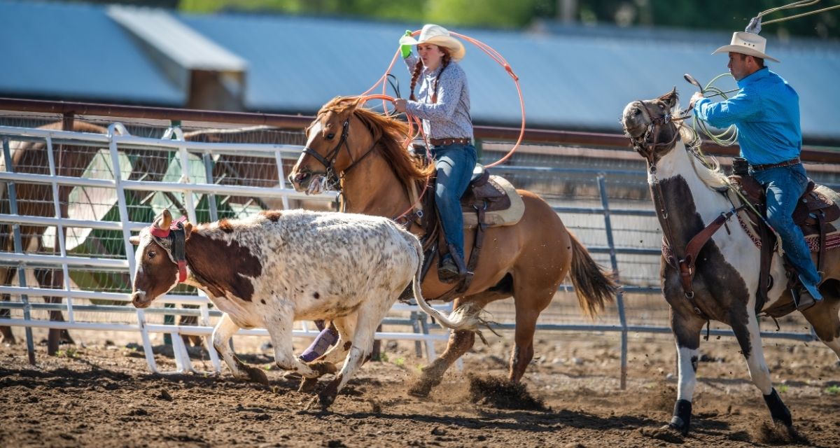 Team Roping: Rodeo 101 - Cowboy Lifestyle Network