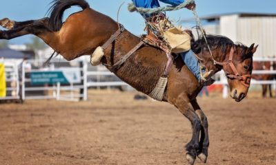 Rodeo 101: International Professional Rodeo Association (IPRA) - Cowboy ...