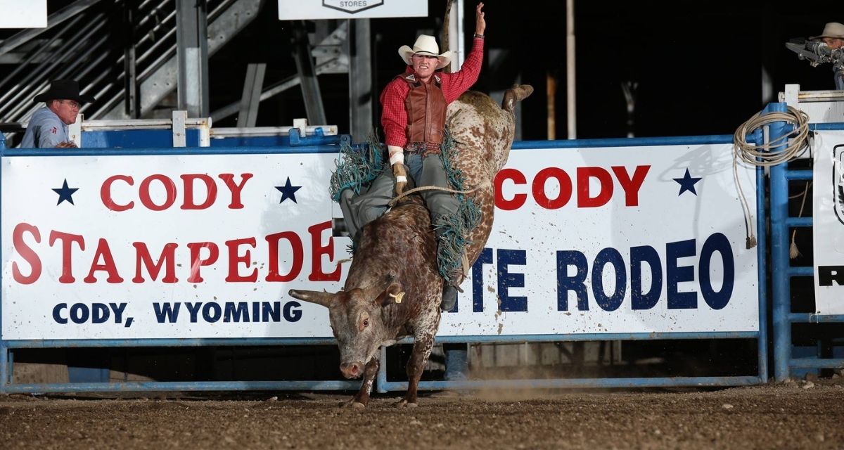Cody Wyoming Rodeo Schedule 2022 Open Schedule 2022