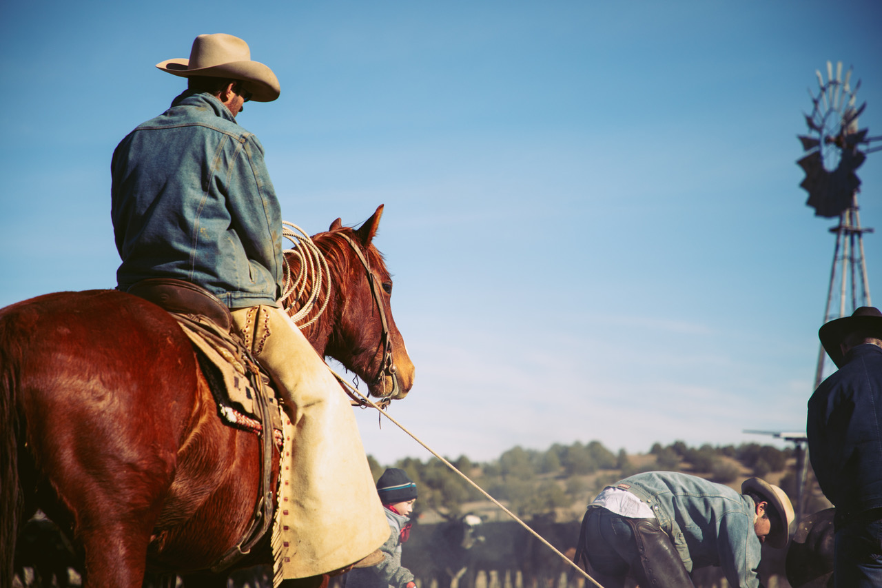 Diamond A Ranch Arizona's Largest Working Cattle Ranch