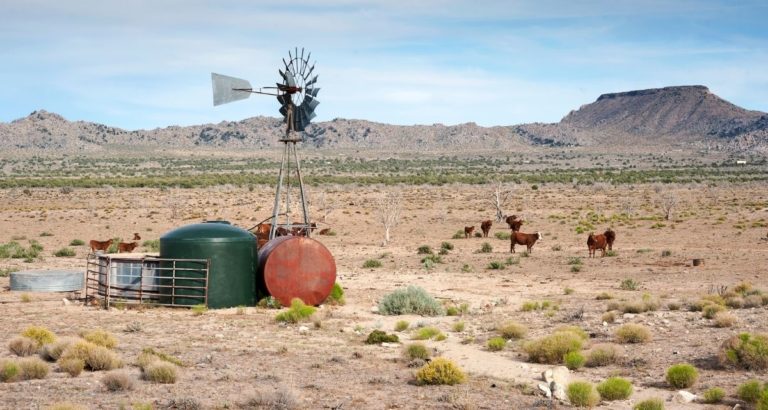 Supporting Navajo Nation Agriculture - Cowboy Lifestyle Network