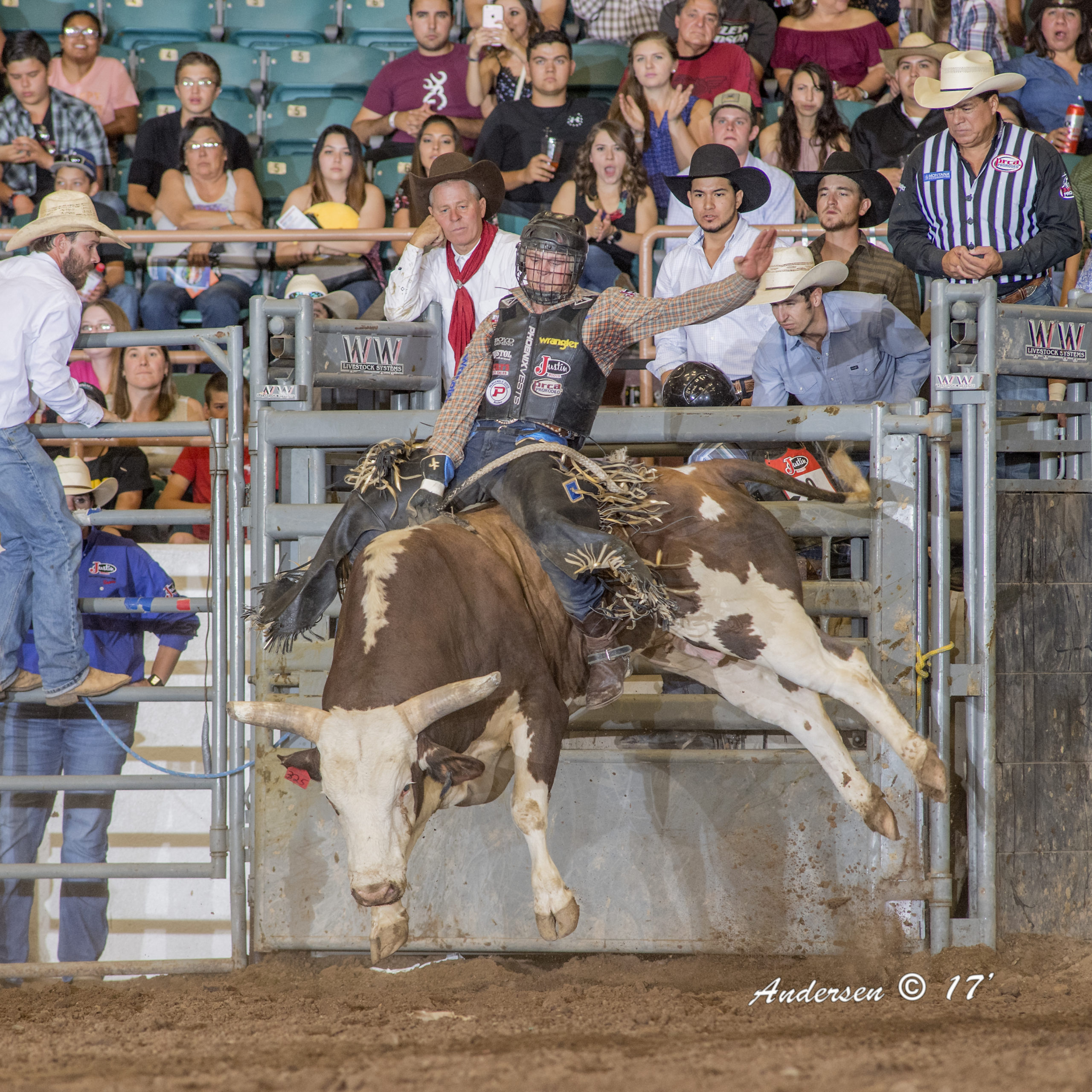 New Mexico State Fair & Rodeo 2021 - Cowboy Lifestyle Network