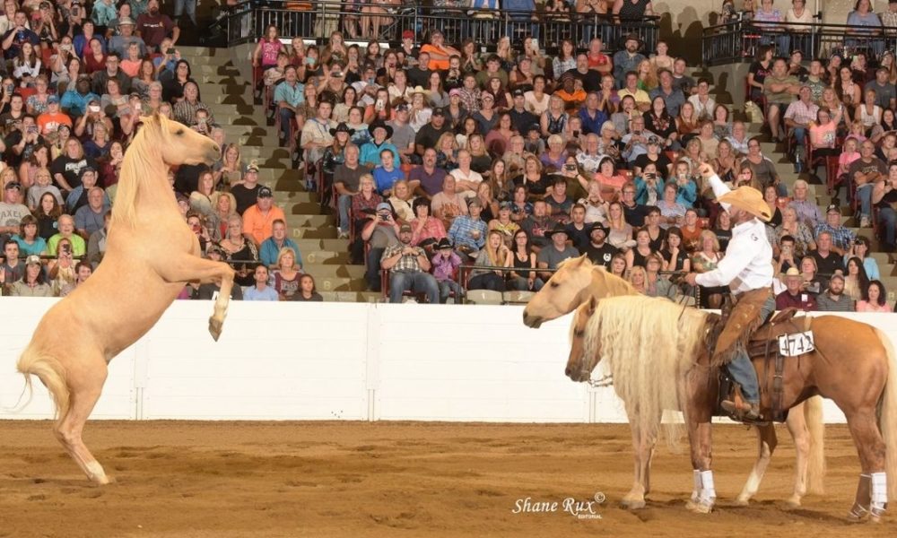 All American Quarter Horse Congress 2021 Cowboy Lifestyle Network   Congress 1000x600 