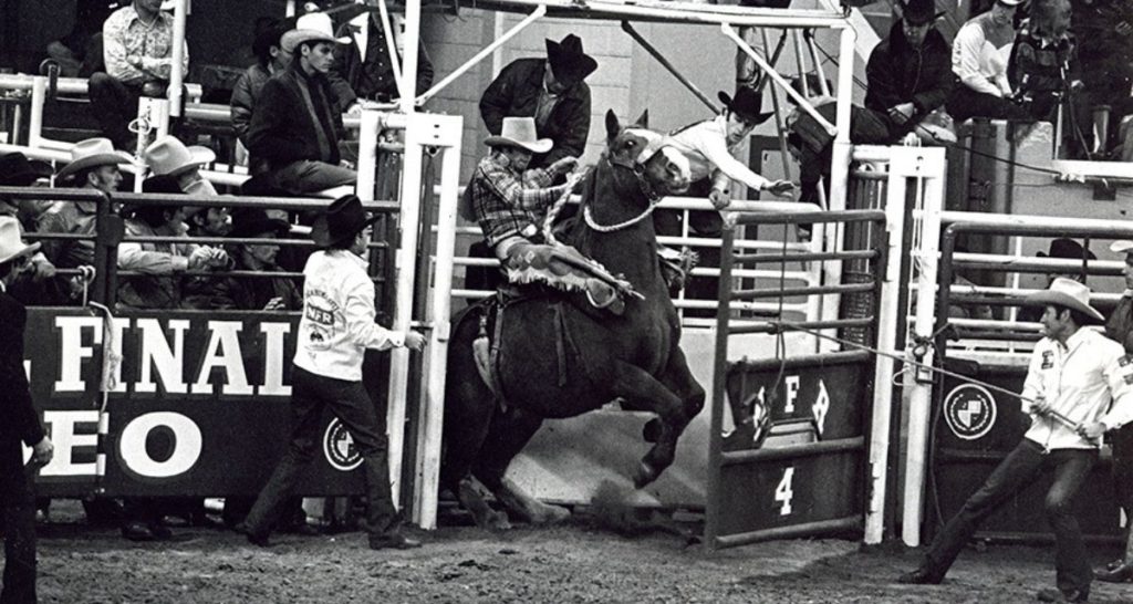 A Look Back at Previous NFR Champions - Cowboy Lifestyle Network