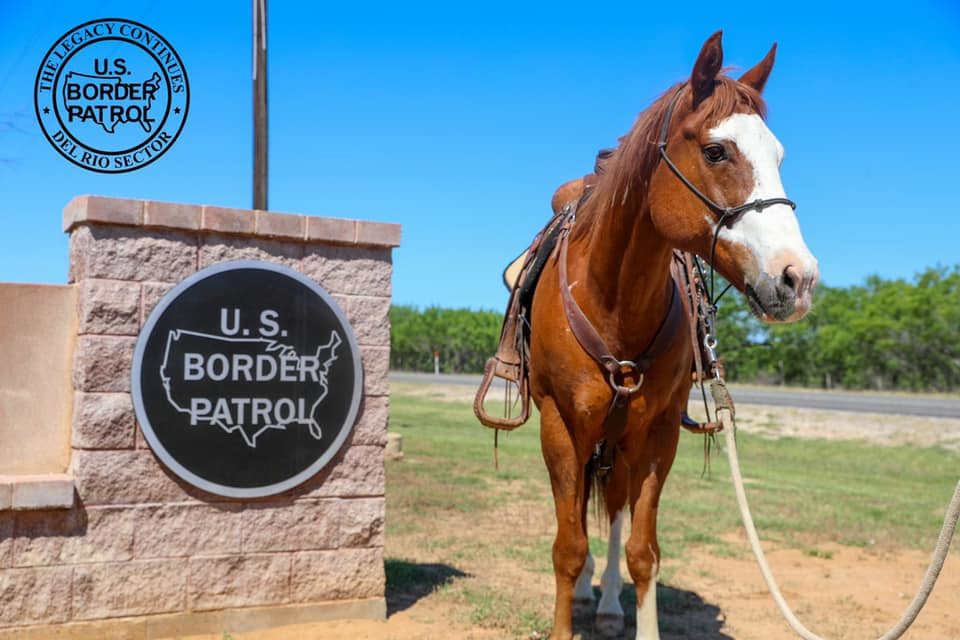   Photo Credit: US Border Patrol Del Rio Sector Facebook  