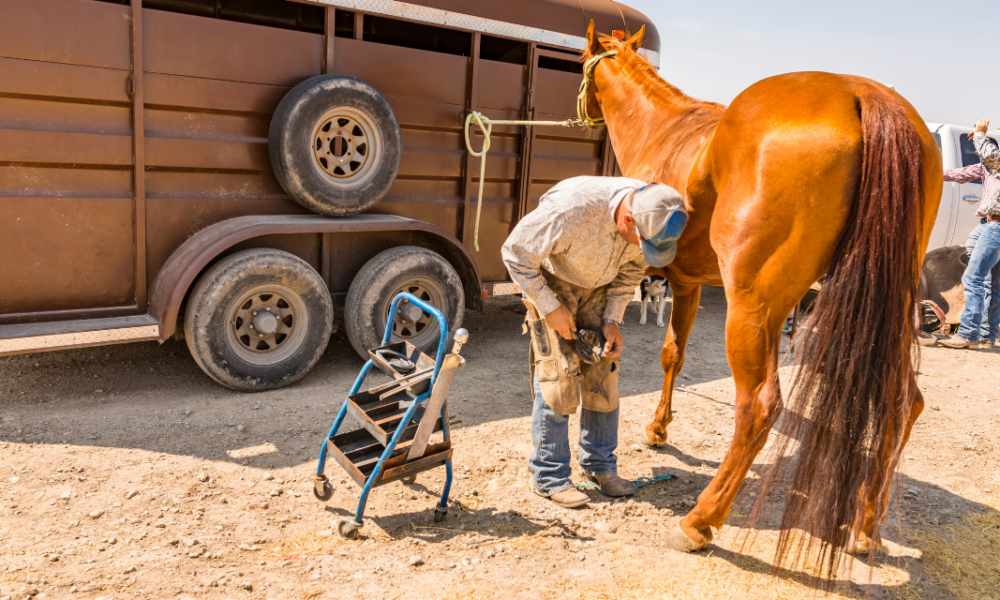 The Art of Being a Farrier Cowboy Lifestyle Network