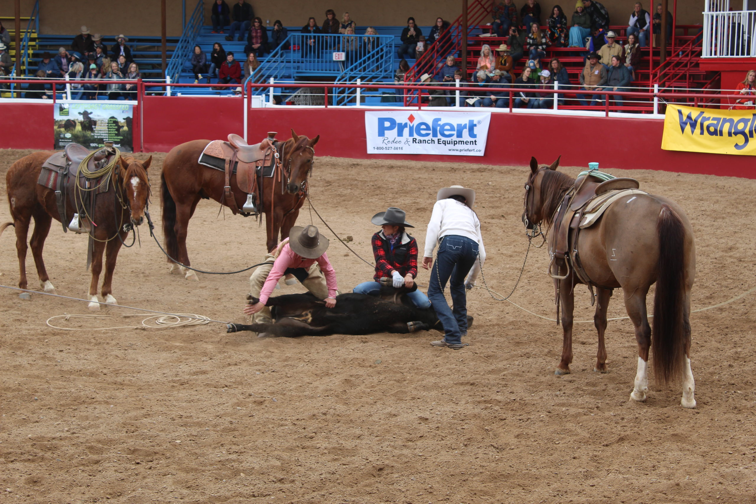 Art of the Cowgirl 2022 - Cowboy Lifestyle Network