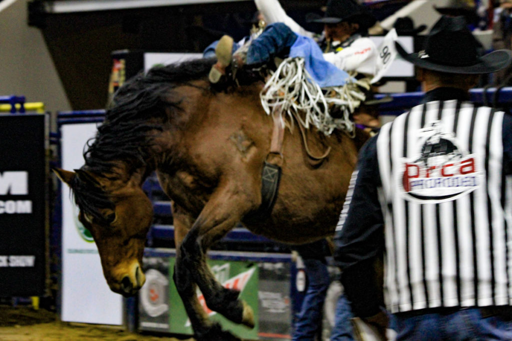 Competitors 'Back The Blue' at recent rodeo - The Stanly News