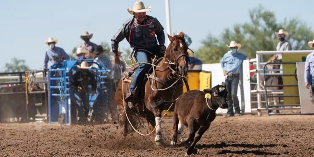 Clear Bag Policy - Cave Creek Rodeo Days