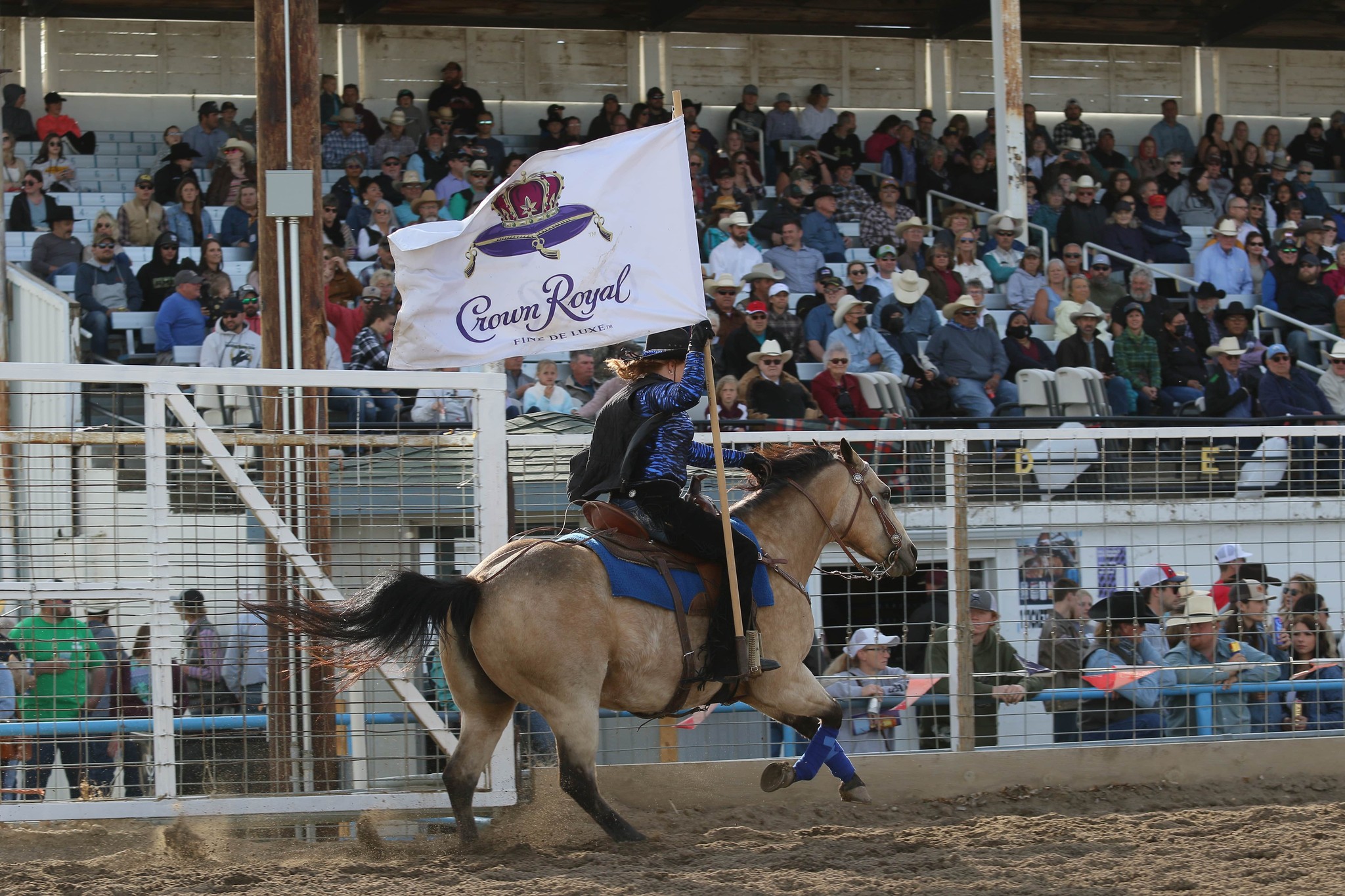 History of the Miles City Bucking Horse Sale Cowboy Lifestyle Network