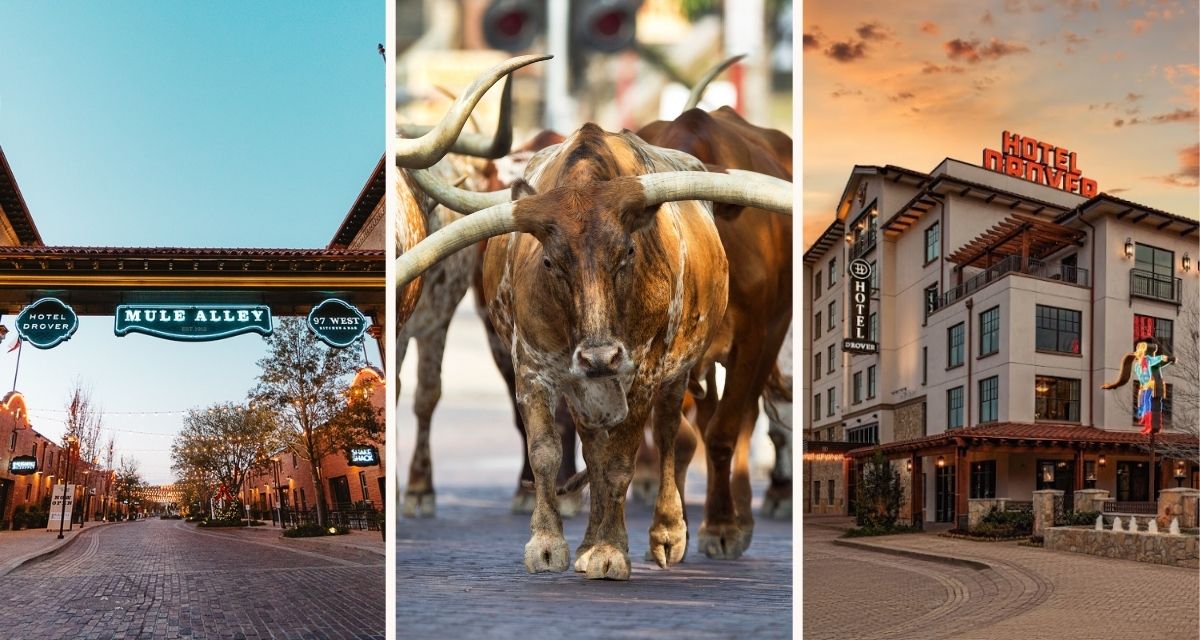 A day at Fort Worth Stockyards, Texas - Our World for You