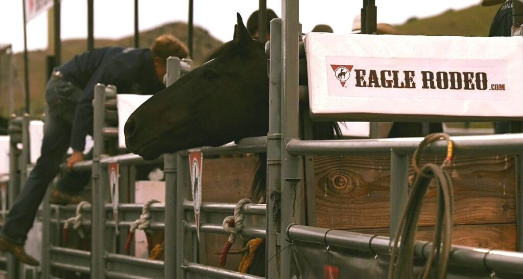 It's Time for the Eagle Rodeo 2022! - Cowboy Lifestyle Network