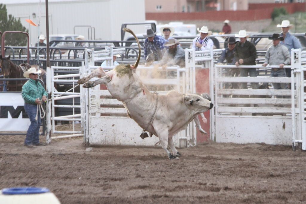 It's Time for Rodeo de Santa Fe, New Mexico! - Cowboy Lifestyle