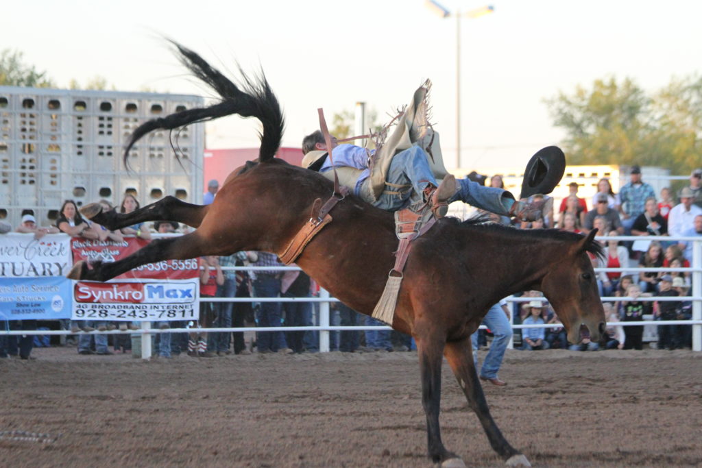 Head to the Cool Pines of Arizona for Taylor Night Rodeo 2022!