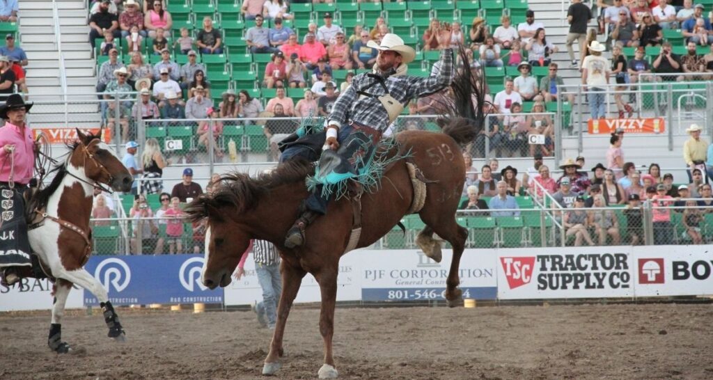 Average Rodeo Cowboy Earnings Cowboy Lifestyle Network
