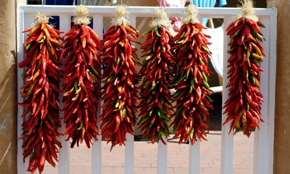 5 Things to do in Santa Fe, New Mexico - Cowboy Lifestyle Network - Vimarsana News