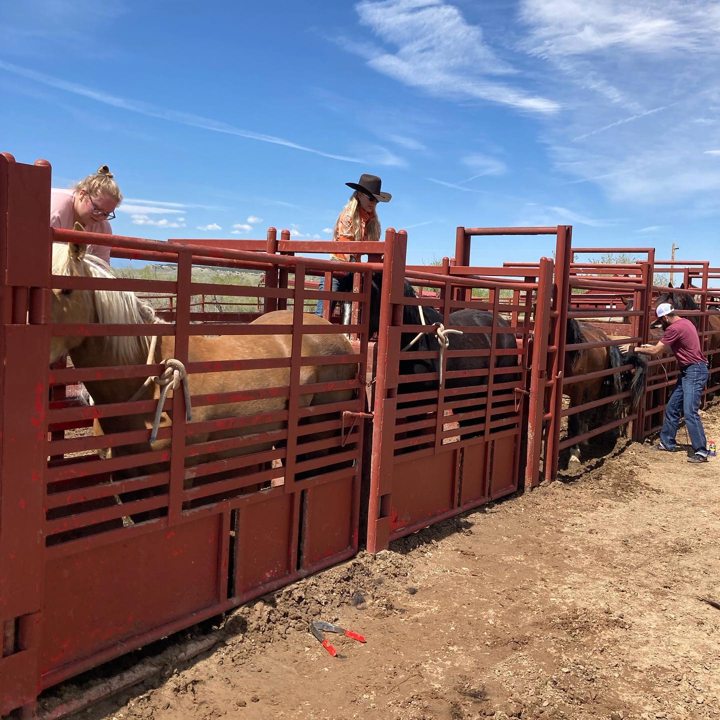 Trach Rodeo Stock Vold Rodeo: Rodeo Stock Contracting, Itโs a Family Business