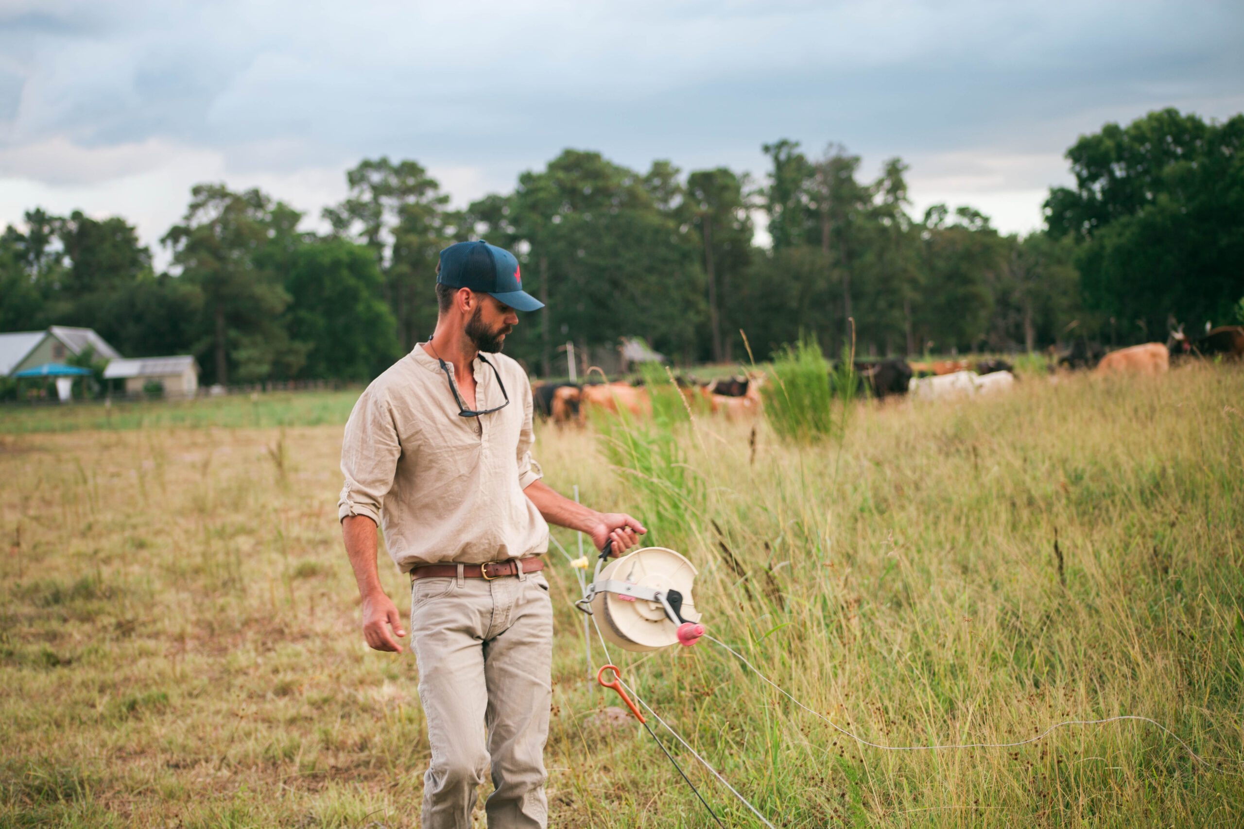 Extensive Vs. Intensive Ranching: Which Is More Sustainable? - k4jq7vw