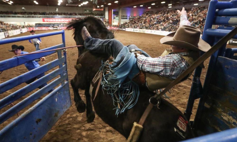 Montana Pro Rodeo Circuit Finals 2023 Cowboy Lifestyle Network