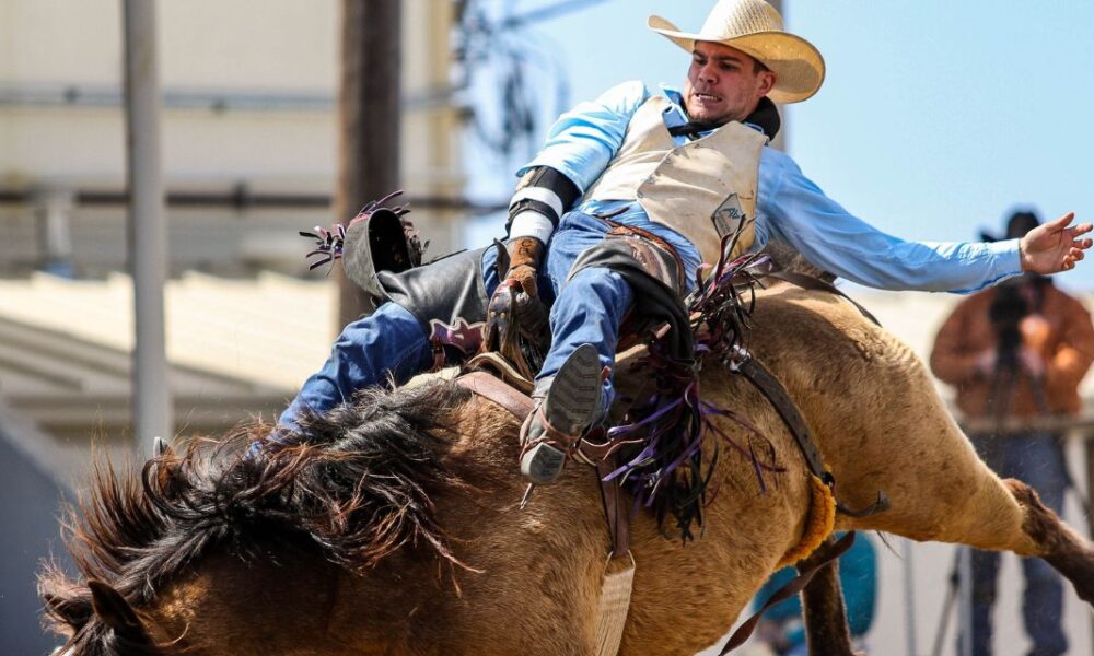 Average Rodeo Cowboy Earnings Cowboy Lifestyle Network