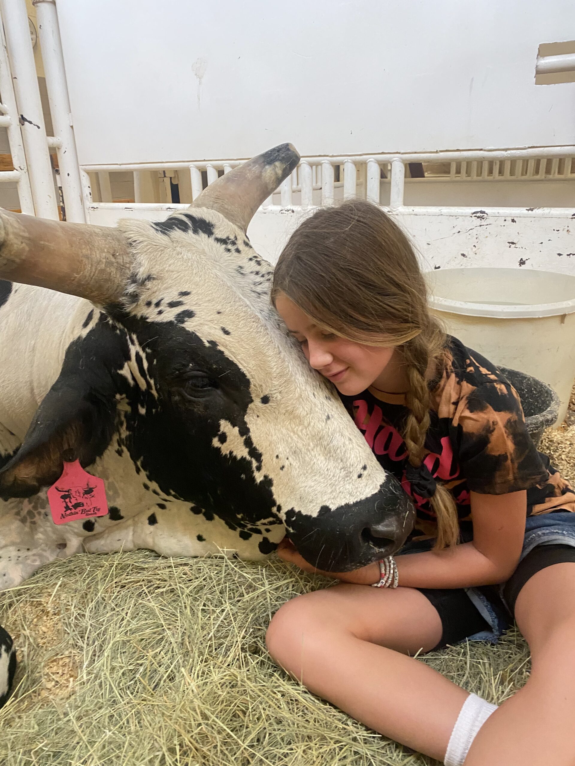 A Labor of Love: A Journey of a Girl and her Bucking Bull