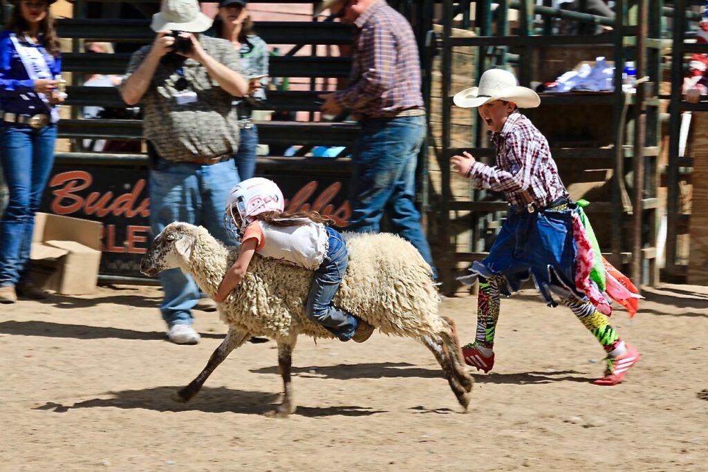 Photo Courtesy of Redding Rodeo