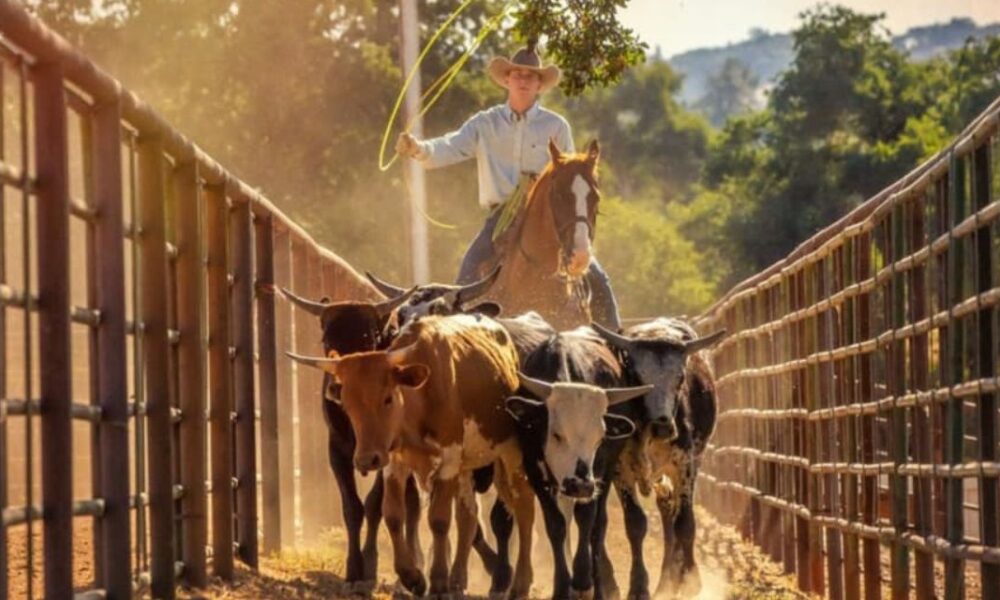 Poly Royal Rodeo 2023 Cowboy Lifestyle Network