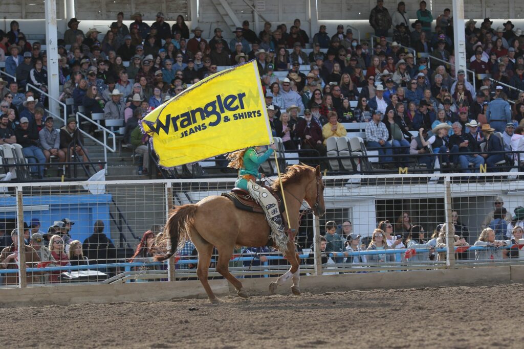 Miles City Bucking Horse Sale Experience the Thrill of Montana's