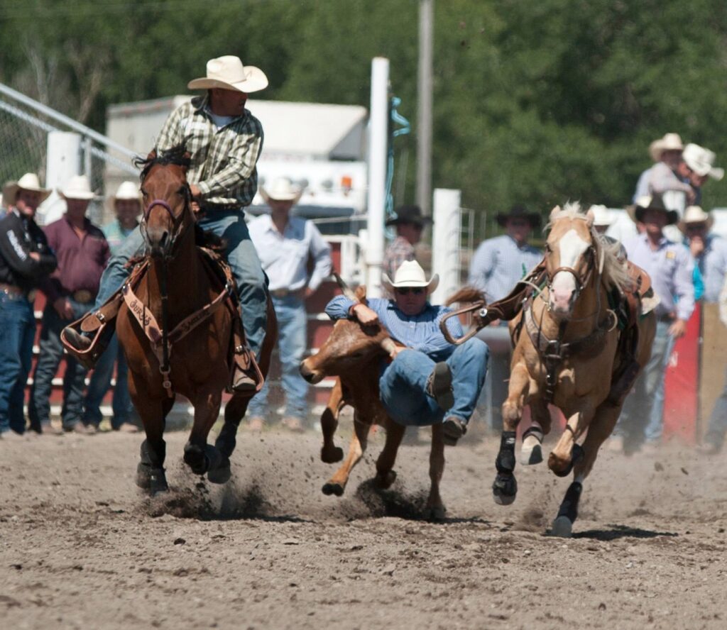 Get Ready For The Livingston Roundup 2023 Cowboy Lifestyle Network   10623629 10152649986977436 6676236724963237568 O 1024x888 