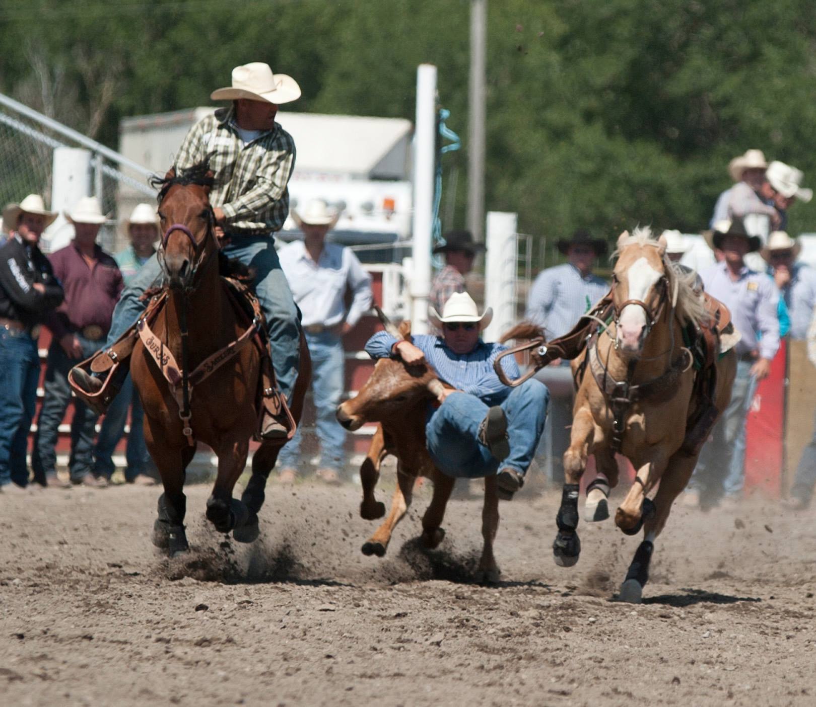 Get Ready for the Livingston Roundup 2023 Cowboy Lifestyle Network